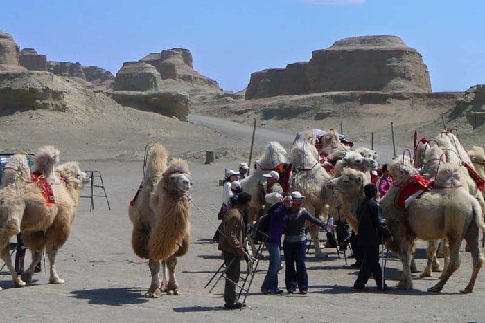 xinjiang ile ilgili görsel sonucu