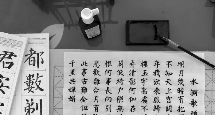 Traditional Chinese Calligraphy Kit (Hanzi, Kanji, & Hanja)