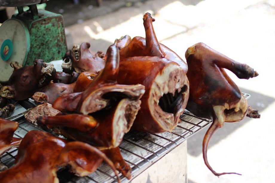 dogmeat in Vietnam dogmeat in Vietnam