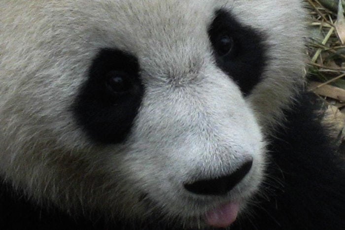 italy-to-mongolia (13)