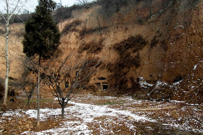 Chinese New Year Chinese New Year