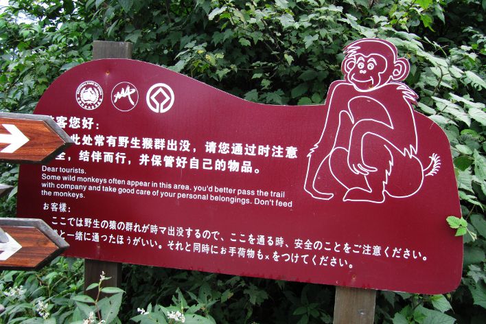 monkeys mount emei