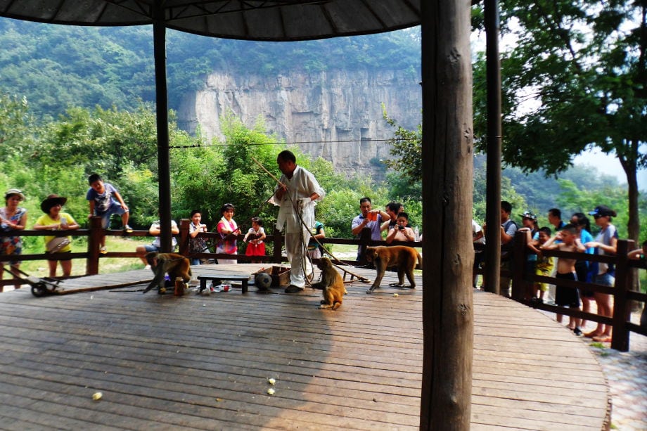 Jiaozuo Henan province Jiaozuo Henan province