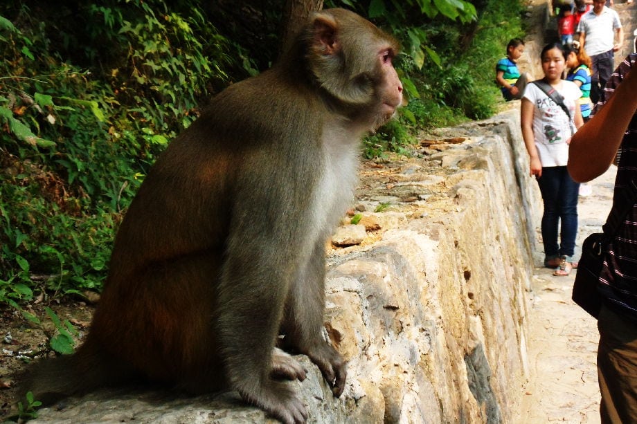 Yuntain Moutain Jiaozuo Yuntain Moutain Jiaozuo