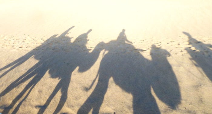 Shadows of camels on Mingsha Shan