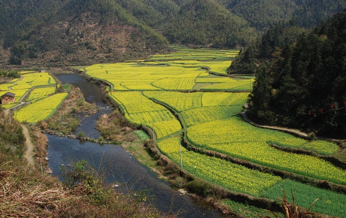 Wuyuan Wuyuan