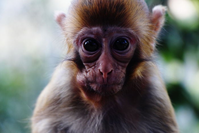 travel to wulingyuan