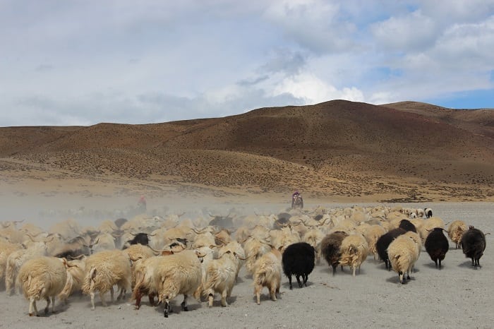 Landscapes at Mount Kailash