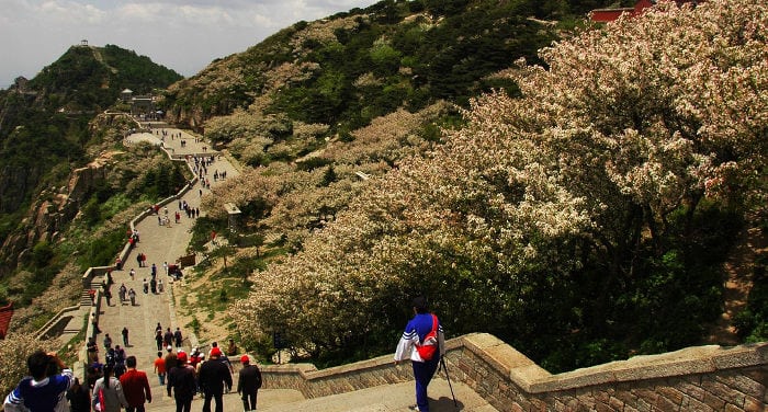 Climbing Tai Shan