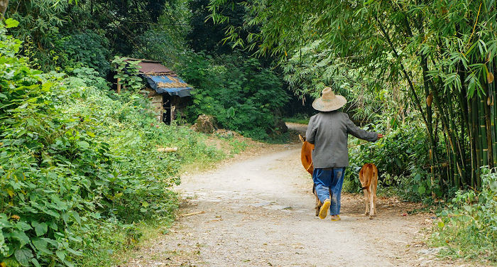 The phenomenon of internal migration in China