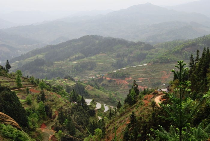 Rice terraces in Guizhou