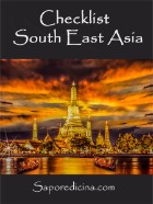 Traveler’s Checklist (South East Asia)