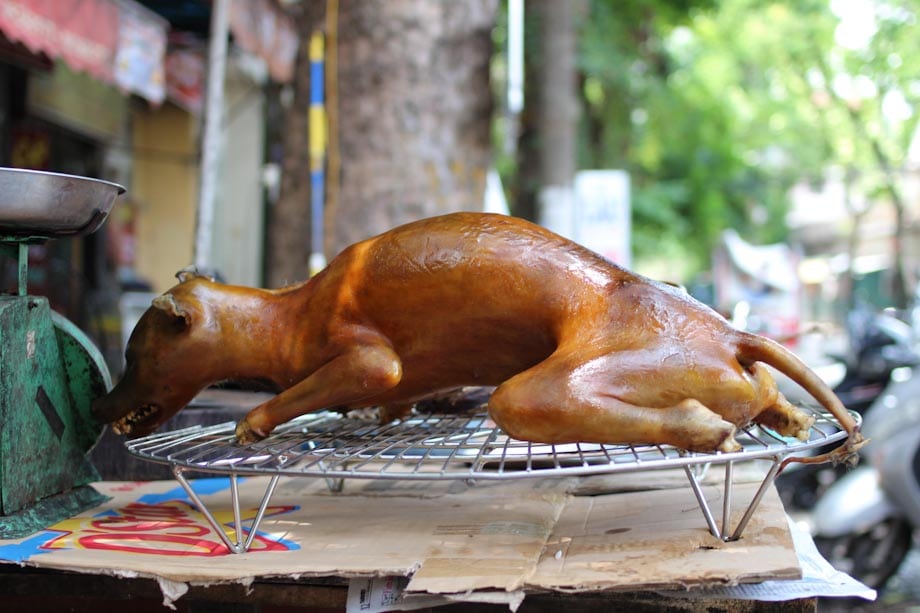 Carne de perro asada Carne de perro asada
