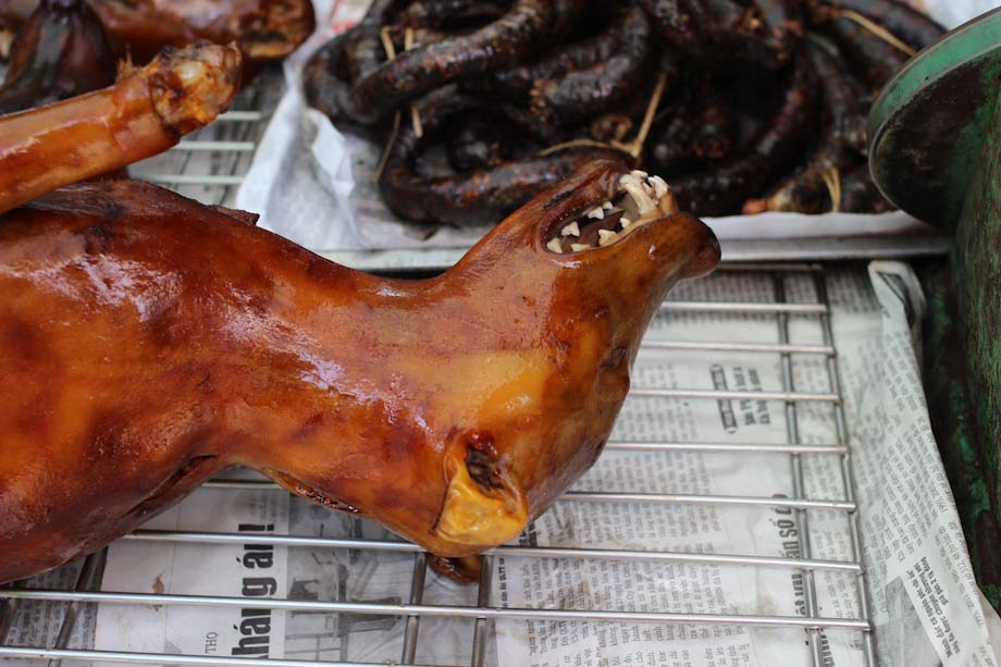carne de perro carne de perro