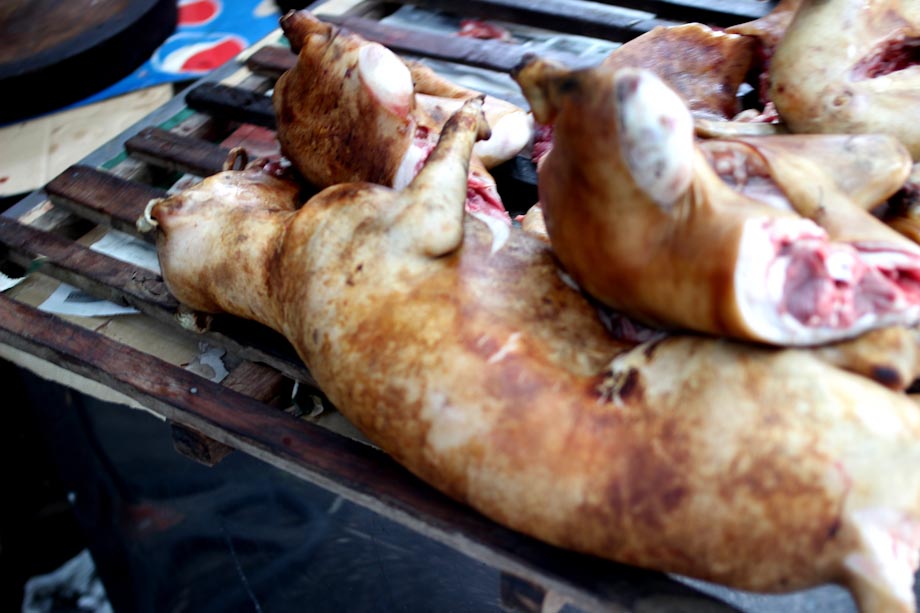 Carne de perro cruda Carne de perro cruda