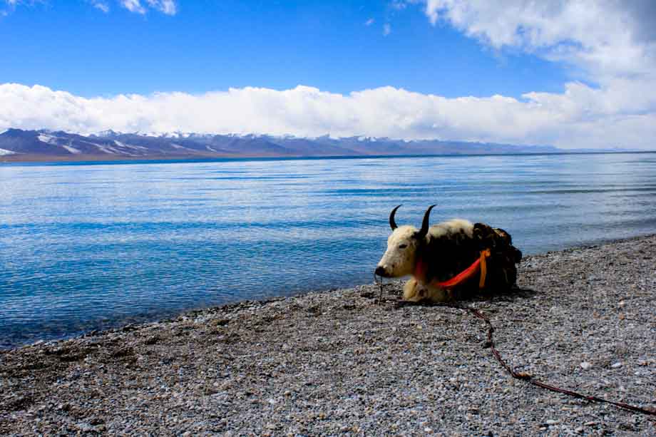 Lago Namtso