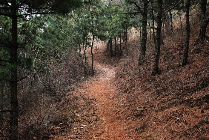 Gran Muralla China donde ir