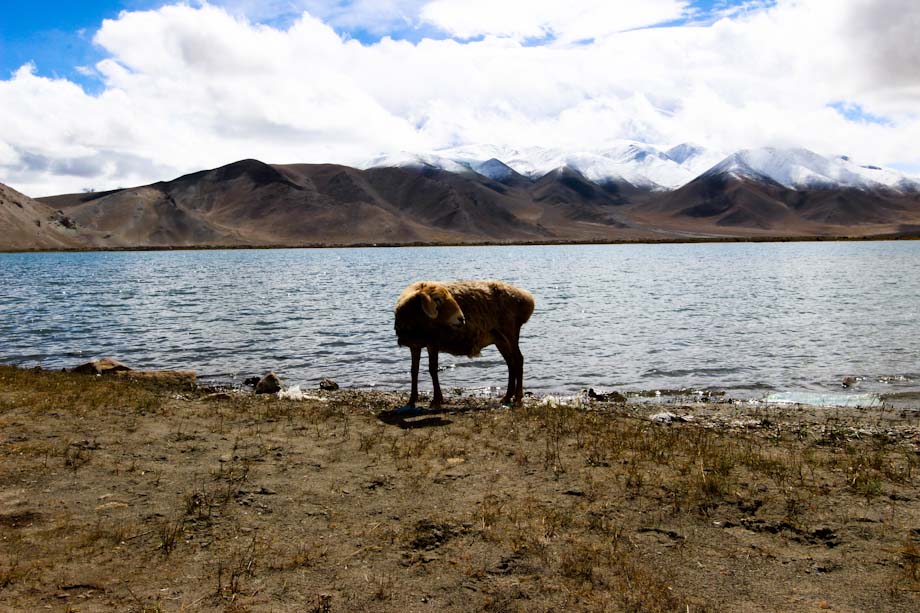 autopista-karakorum (4)