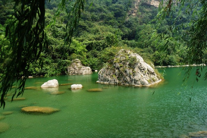 Aprender Tai Chi China