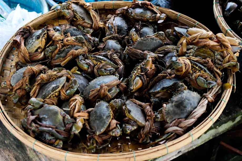 Comida callejera Vietnam