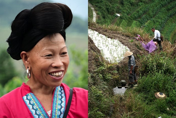 Mujer de etnia Yao y dos agricultores faenando