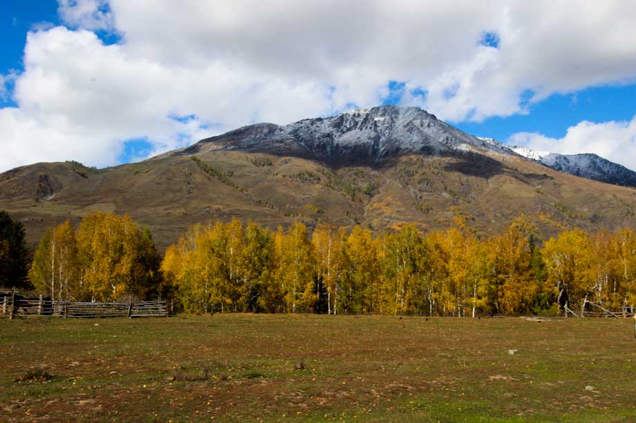 Viaje a Hemu Viaje a Hemu