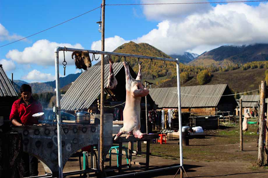 Viaje a Hemu Viaje a Hemu