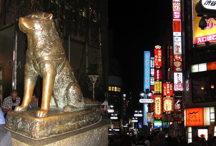 El distrito de Shibuya y la estatua de Hachiko