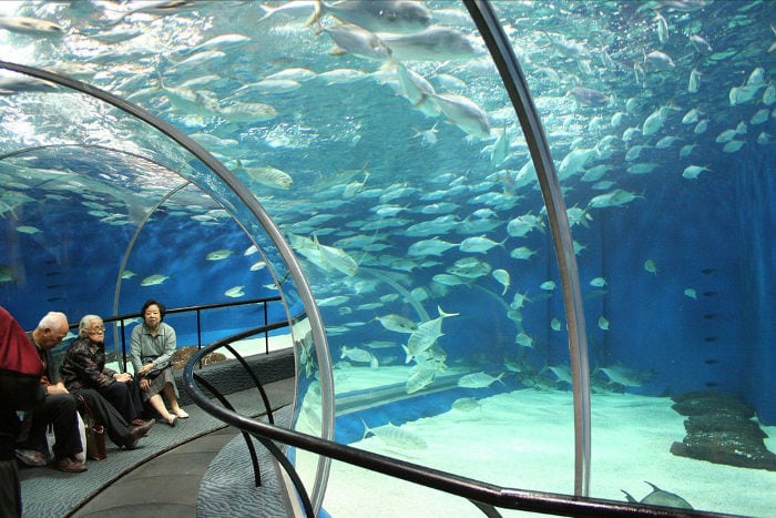  Parques y parques de atracciones en Shanghai