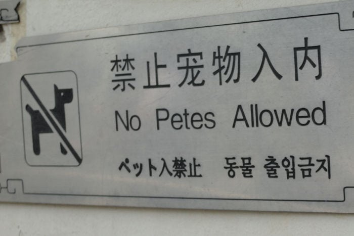 Chinglish