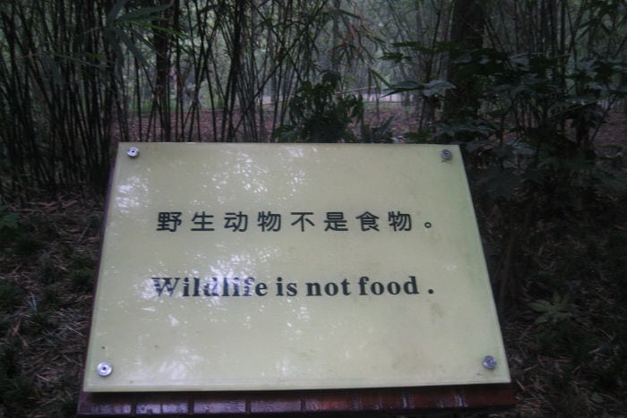 Chinglish