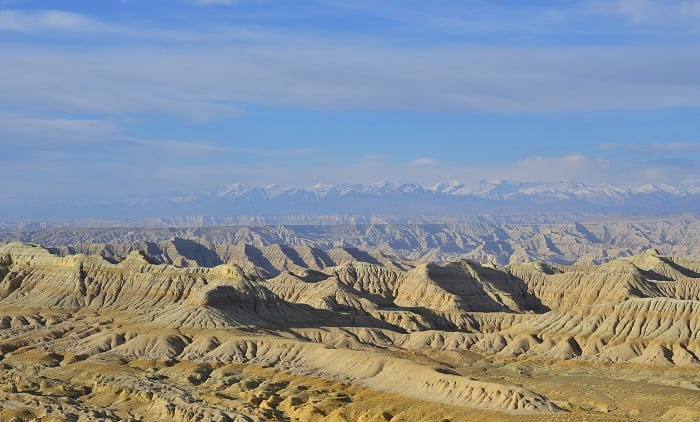 Bosque de tierra en Zanda