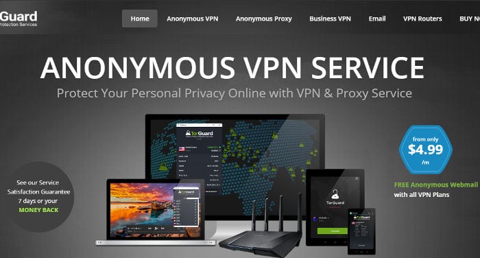 reseña torguard vpn