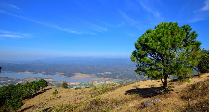 Viaje a Da Lat