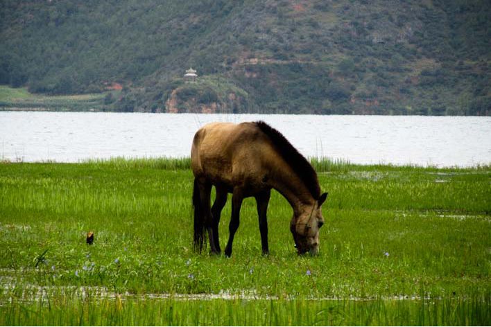 arrivare al Lago Lugu