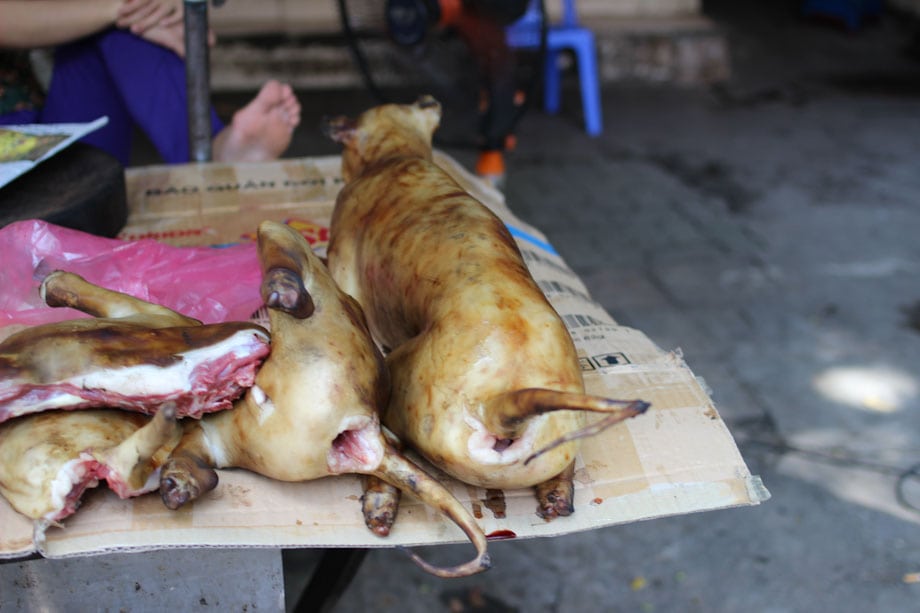 Carne di cane, Vietnam