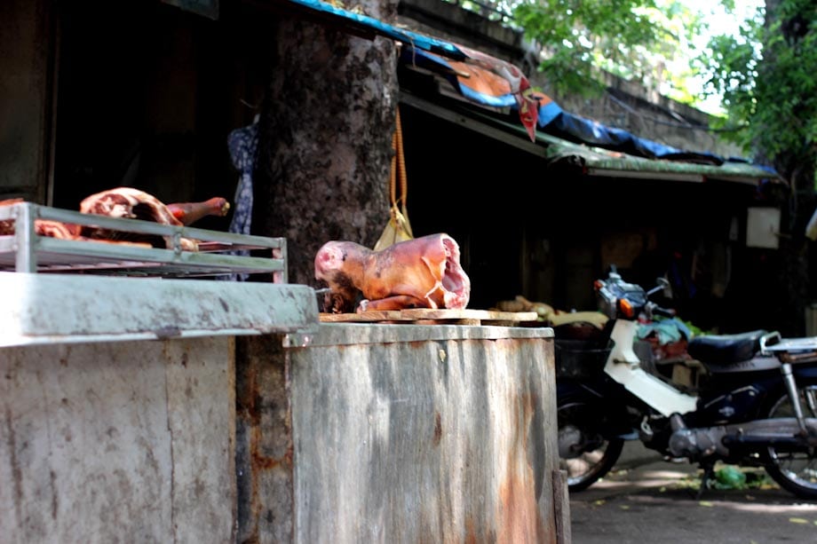 Carne di cane, Vietnam
