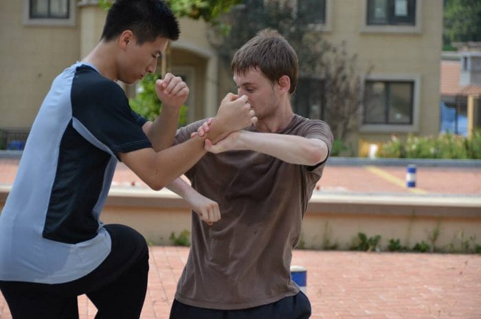 mantis kung fu mantis kung fu