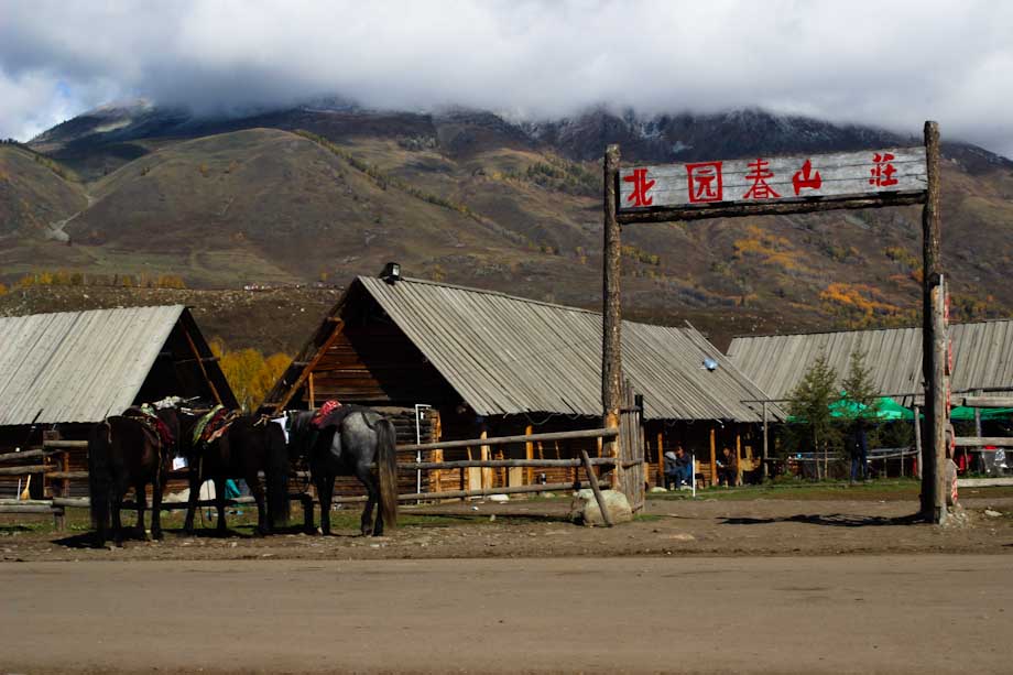 Viaggio a Hemu Viaggio a Hemu