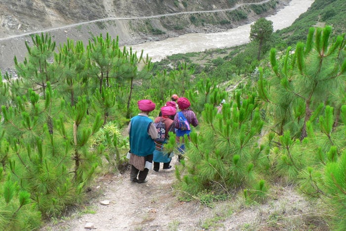 trekking con la gente del posto vicino Cizhong trekkinggentedelpostocizhong
