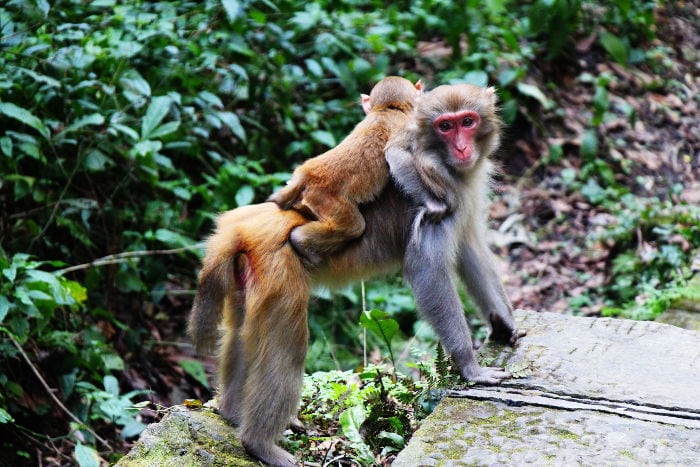 Zhangjiajie Zhangjiajie