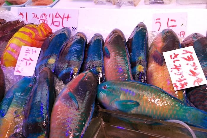 Il mercato pesce di Ishigaki