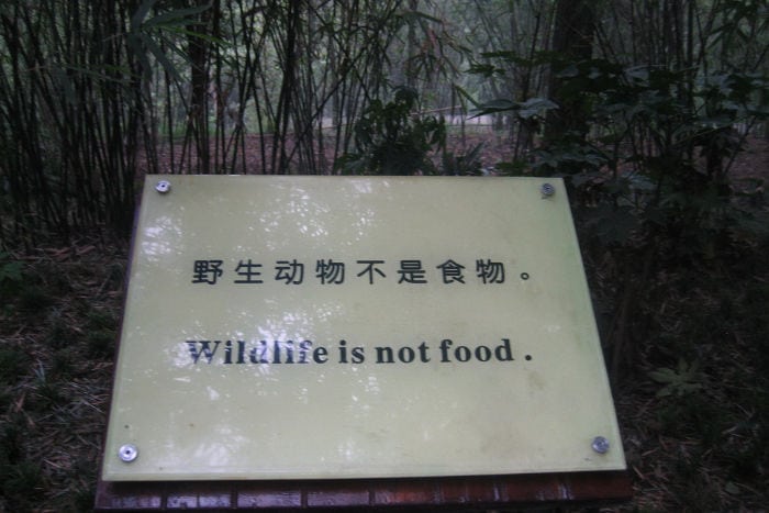 chinglish