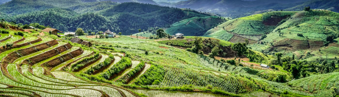 Tour Il meglio della Thailandia