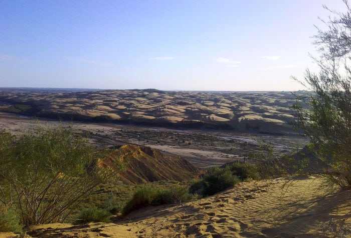 deserto di Ordos