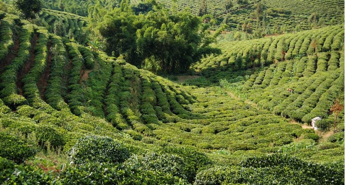 prefettura di Pu'er