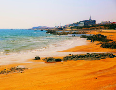 Shandong Shandong