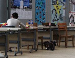 Imparare il Cinese in Cina