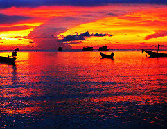 Koh Tao Koh Tao