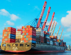 Servizio di Ricollocamento